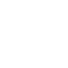 Fibre internet connectivity icon