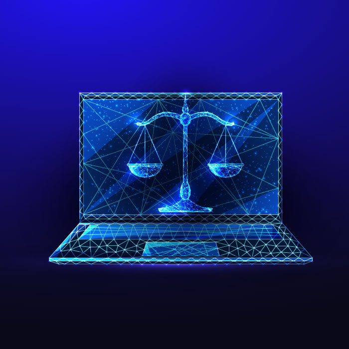 cyber-law